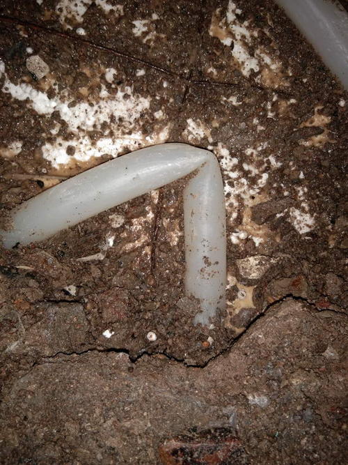 太康堵点精准查找